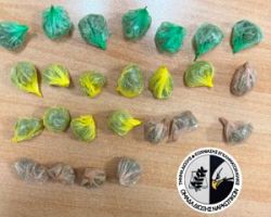 ΕΝΗΜΕΡΩΤΙΚΟ ΔΕΛΤΙΟ ΑΔΙΚΗΜΑΤΩΝ ΚΑΙ ΣΥΜΒΑΝΤΩΝ