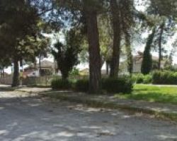 Γονείς ζητούν την τοποθέτηση πινακίδων σήμανσης σε παιδική χαρά στη Νέα Πέλλα