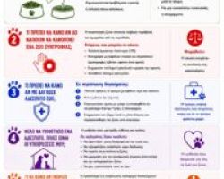 ΣΥΧΝΕΣ ΕΡΩΤΗΣΕΙΣ ΓΙΑ ΤΑ ΑΔΕΣΠΟΤΑ