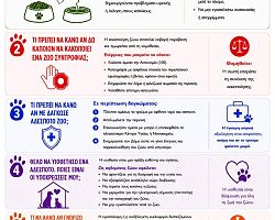 ΣΥΧΝΕΣ ΕΡΩΤΗΣΕΙΣ ΓΙΑ ΤΑ ΑΔΕΣΠΟΤΑ