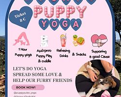 Το πρώτο Puppy Yoga έρχεται στην Χαλκιδική!