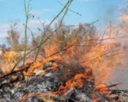 Επιβολή διοικητικού προστίμου σε  Πέλλα