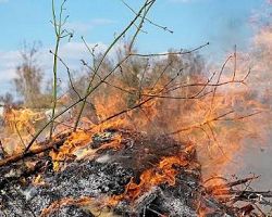 Επιβολή διοικητικού προστίμου σε  Πέλλα