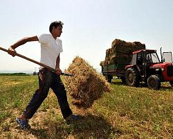 Νέος τρόπος αμοιβής εργατών γης με εργόσημο από τον ΟΓΑ