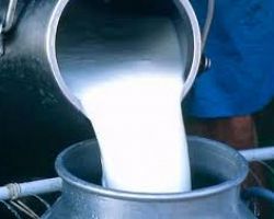Κραυγή απόγνωσης για το νωπό ελληνικό γάλα