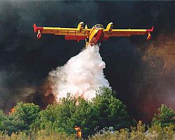 Υπό μερικό έλεγχο η πυρκαγιά σε θαμνώδη περιοχή του πρώην Δήμου Μενιήδας