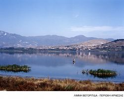 Παρουσίαση Ειδικής Περιβαλλοντικής Μελέτης Λιμνών Βεγορίτιδας- Πετρών