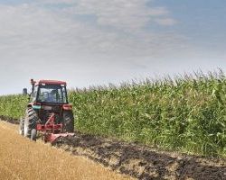 Στα 337 ευρώ ανά MWh η επιδότηση για τα αγροτικά τιμολόγια ρεύματος Αυγούστου, απορροφάται 82-99% της συνολικής αύξησης