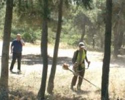 Ενίσχυση της πυροπροστασίας στο περιαστικό δάσος με την κοπή και απομάκρυνση των ξερόχορτων