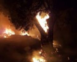 Εκτός ελέγχου η φωτιά στη Ζάκυνθο -Μέτωπο χιλιομέτρων, πνίγεται στον καπνό το νησί