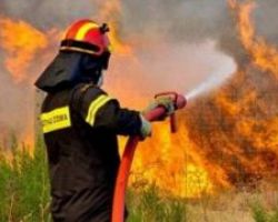 Σε ύφεση η μεγάλη δασική πυρκαγιά στον ορεινό όγκο Προμάχων του Δήμου Αλμωπίας