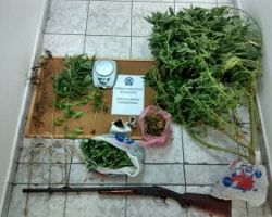 Συνελήφθη 36χρονος στην Χαλκιδική για διακίνηση και καλλιέργεια κάνναβης