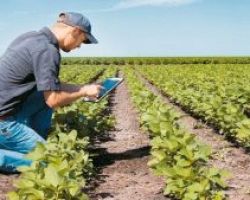 Έκδοση της βεβαίωσης επαγγελματία αγρότη με ένα «κλικ»