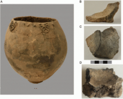 Γεωργία: Ανακαλύφθηκαν τα αρχαιότερα ίχνη κρασιού, ηλικίας 8.000 ετών