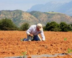 Ερχεται «κούρεμα» έως 60% σε κόκκινα αγροτικά δάνεια