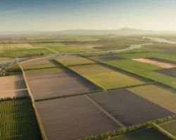 Η υποχρεωτική αναγραφή του Α.Τ.ΑΚ στις δηλώσεις ΟΣΔΕ είναι αναγκαία για να καταγραφούν οι πραγματικά καλλιεργούμενες εκτάσεις