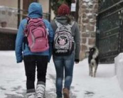 Κοντογεώργης: Δεν συζητείται παράταση των διακοπών στα σχολεία