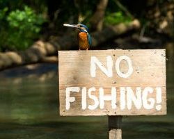 Απαγόρευση αλιείας