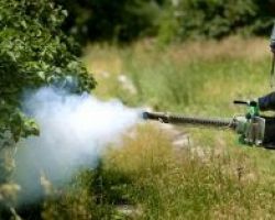 Διενέργεια έκτακτων ψεκασμών για την καταπολέμηση κουνουπιών στις αγροτικές περιοχές ρυζοκαλλιεργειών του  κάμπου Θεσσαλονίκης και Ημαθίας