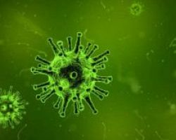 Βρέθηκε ο αρχαιότερος ιός του κόσμου: Μολύνει τον άνθρωπο εδώ και 4.500 χρόνια