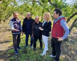Επισκέψεις της Θεοδώρας Τζάκρη στις χαλαζόπληκτες περιοχές που επλήγησαν από το νέο κύμα σφοδρών χαλαζοπτώσεων στις 18-4-2019