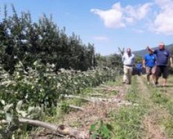 Διονύσης Σταμενίτης:«Τεράστιες οι ζημιές για τους παραγωγούς δενδροκαλλιεργειών στις περιοχές του Νομού Πέλλας που χτύπησε το χαλάζι και οι ισχυροί άνεμοι»