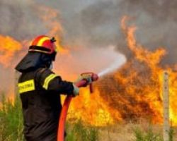 Χαλκιδική: Σε ύφεση η φωτιά στην Κασσάνδρα