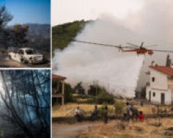 Φωτιά στην Εύβοια: Τα ανοιχτά μέτωπα -Στάχτη το δάσος Natura, κάηκαν ΙΧ, σώθηκαν τα σπίτια