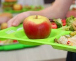 Σχολικά γεύματα: Επέκταση του προγράμματος σε 1.227 σχολεία – 15 από την Π.Ε. Πέλλας
