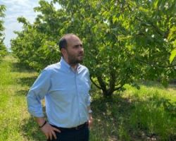 Λάκης Βασιλειάδης: «Εντός έτους οι αποζημιώσεις του κύριου όγκου των καλλιεργειών της  Πέλλας για τον Παγετό Άνοιξης 2021»