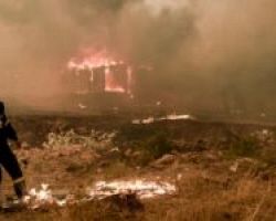 Συνεχίζεται η «πύρινη κόλαση» στα Βίλια: Μάχη με τις φλόγες κοντά στους οικισμούς Οινόη και Πανόραμα