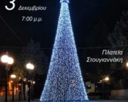Έδεσσα: Φωταγώγηση Χριστουγεννιάτικου δέντρου