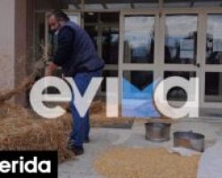 Χαλκίδα: Οι αγρότες γέμισαν με σανό την είσοδο της Περιφέρειας Στερεάς Ελλάδας