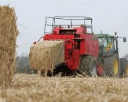 Αναγκαία η αγρανάπαυση για λήψη τσεκ το 2023 από μικροκαλλιεργητές