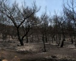 Φωτιά στη Μυτιλήνη: Κάηκαν 20.340 στρέμματα – Τι δείχνουν τα δορυφορικά δεδομένα