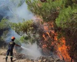 Τρεις δασικές φωτιές στην Χαλκιδική