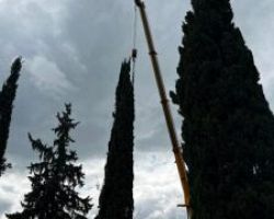 Δήμος Αλμωπίας: Άλλη μια δράση αντιμετώπισης ενός χρόνιου προβλήματος που αφορά τις κοπές επικίνδυνων δέντρων
