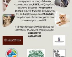 Δήμος Έδεσσας: Στείρωση σε αδέσποτες γάτες