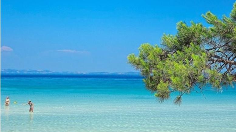 25 «βελούδινες» πευκόφυτες παραλίες της Χαλκιδικής