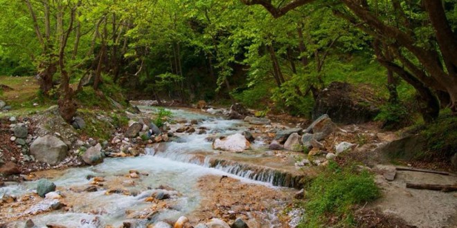 Δήμος Αλμωπίας: Εθελοντική Δράση για το Περιβάλλον