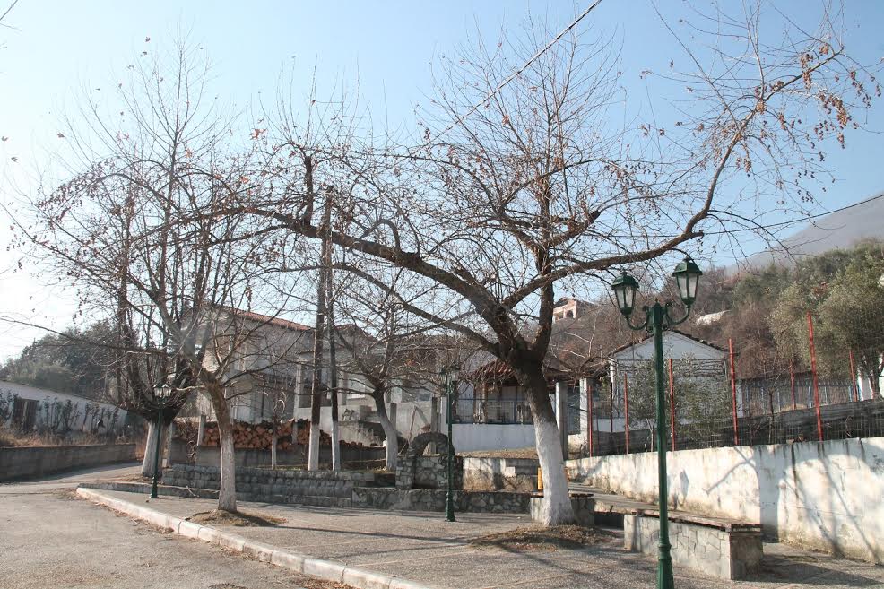 Συντήρηση κοινόχρηστων χώρων Δ.Ε. Αριδαίας