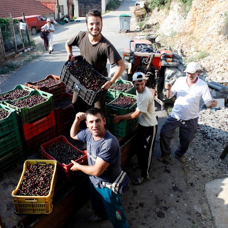 Οριστική λύση στον τρόπο μετάκλησης και εργασίας των αλλοδαπών εποχιακών εργατών