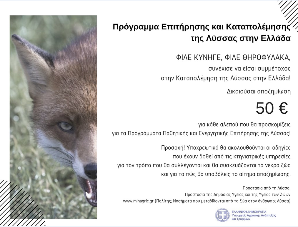 Πρόγραμμα επιτήρησης και καταπολέμησης της λύσσας στην Ελλάδα