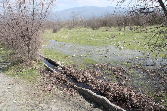 Βελτίωση αγροτικών υποδομών στην Τ.Κ Βορεινού – Νεοχωρίου – Πευκωτού