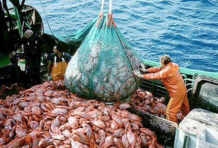 Έκδοση των αδειών για το αλιευτικό εργαλείο βιντζότρατα-Παράταση προληπτικής απαγόρευσης αλιείας για τα συρόμενα εργαλεία