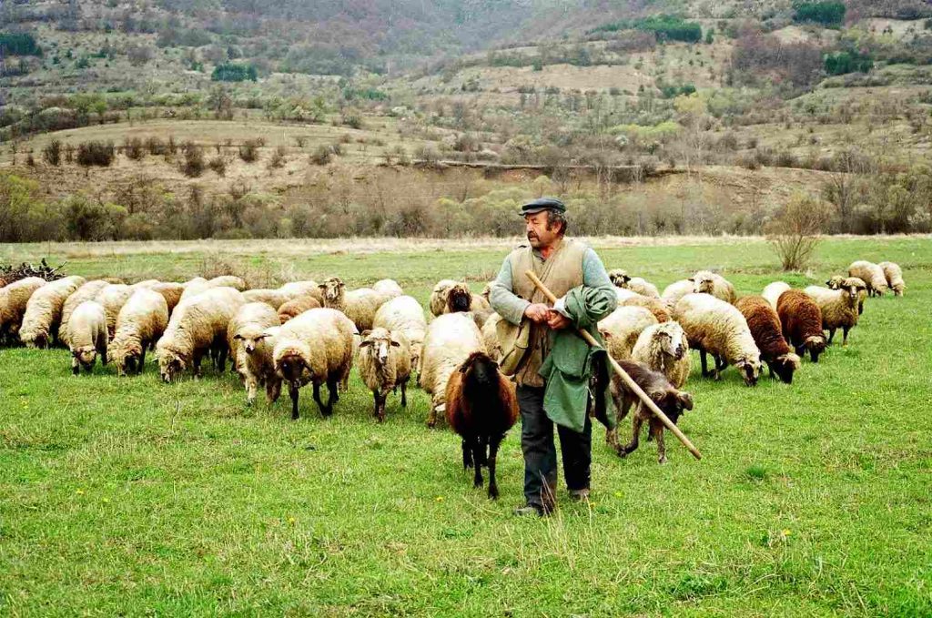 Παράταση πληρωμής βοσκοτόπων από τους κτηνοτρόφους