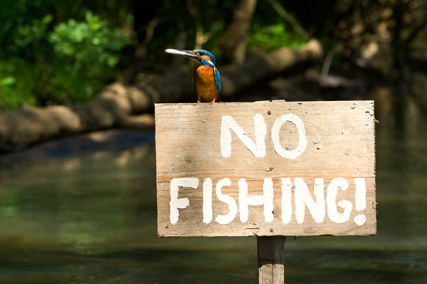Απαγόρευση αλιείας