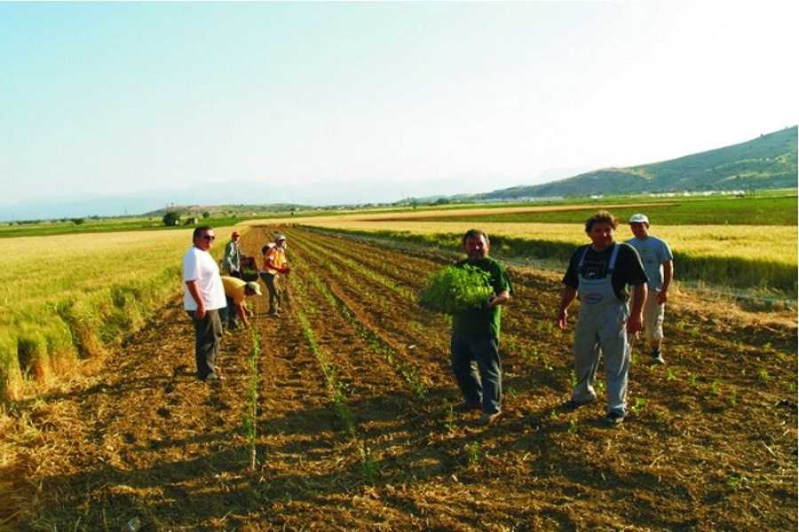 Με φόντο την υπόθεση της Ο.Π. «Αθηνά» η συνάντηση Γιάννη Σηφάκη και Βασιλική Θάνου