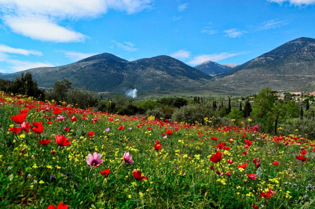 Πιο ζεστός ο φετινός Μάρτιος στην Ελλάδα από τον μέσο όρο