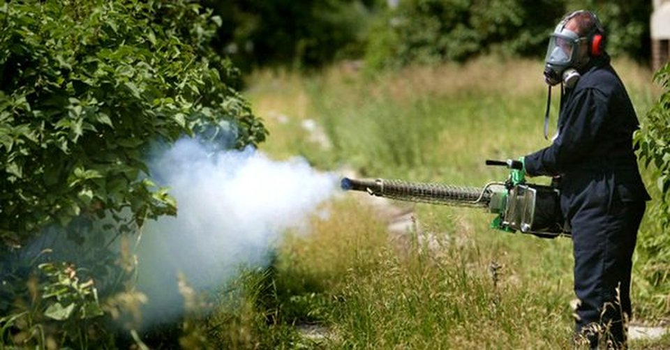 Διενέργεια έκτακτων ψεκασμών για την καταπολέμηση κουνουπιών στις αγροτικές περιοχές ρυζοκαλλιεργειών του  κάμπου Θεσσαλονίκης και Ημαθίας